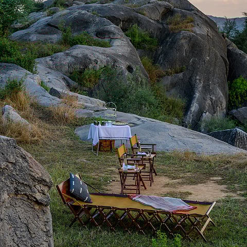 The setup for Hi-Tea