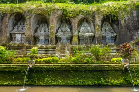 The Valley of The Balinese Kings