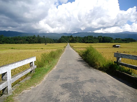 Ziro