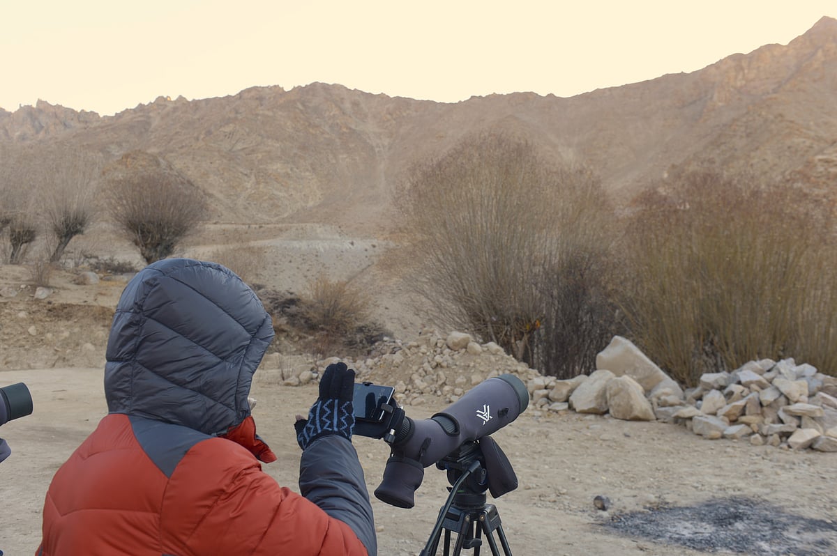 Vikram Sharma : Spotting the snow leopard