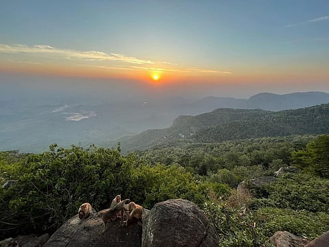 The Lady’s Seat viewpoint in Yercaud