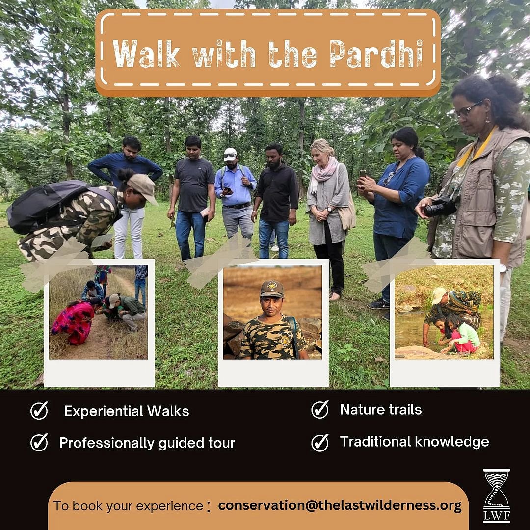 Walk WIth The Pardhi is a popular activity in Panna