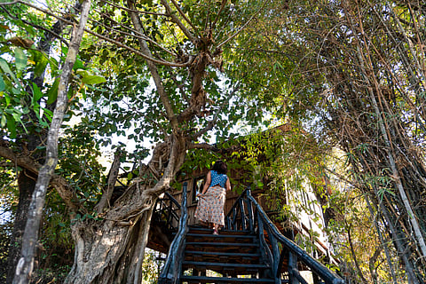 Tree House Hideaway in Bandhavgarh is a serene recluse