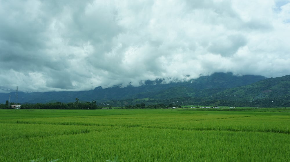 The sky and the green paddy fields on the outskirts of Imphal city