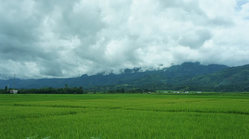 The sky and the green paddy fields on the outskirts of Imphal city