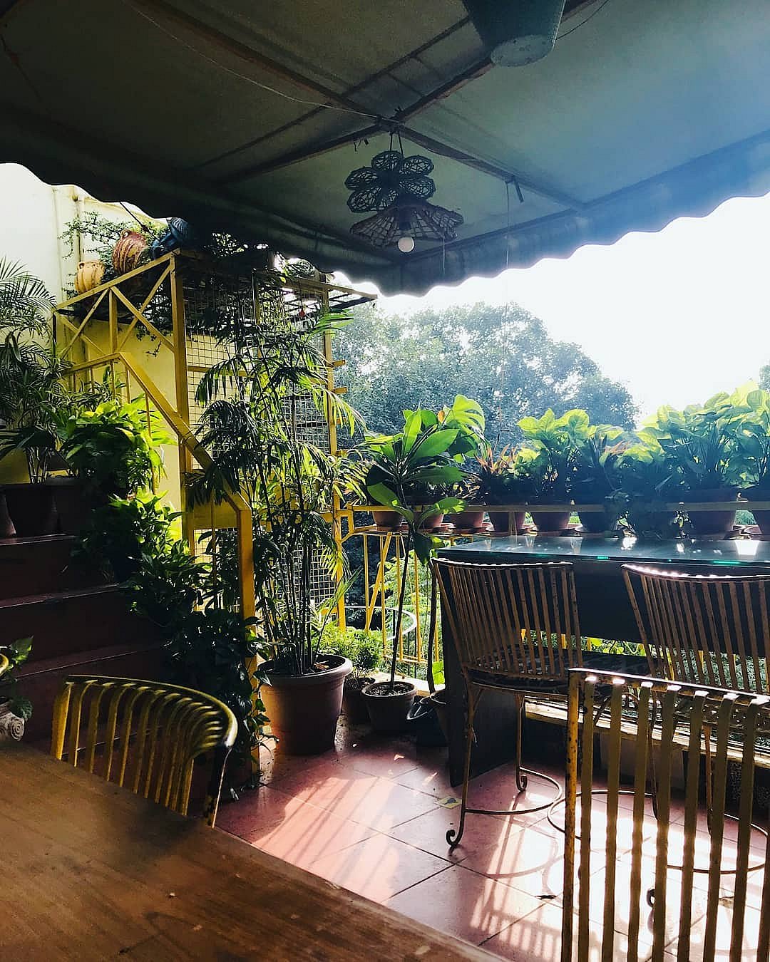 Potbelly Rooftop Cafe