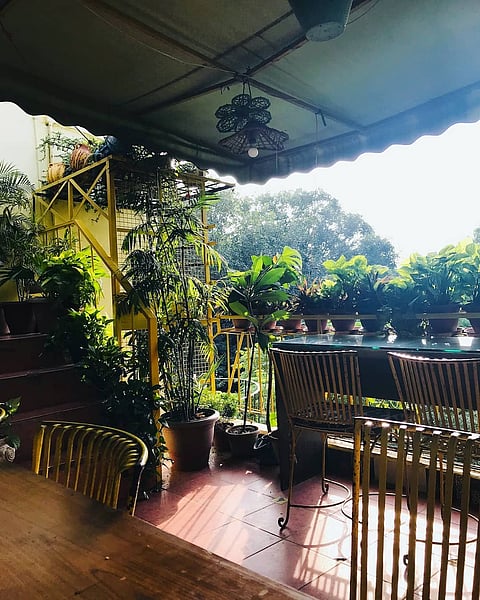 Potbelly Rooftop Cafe