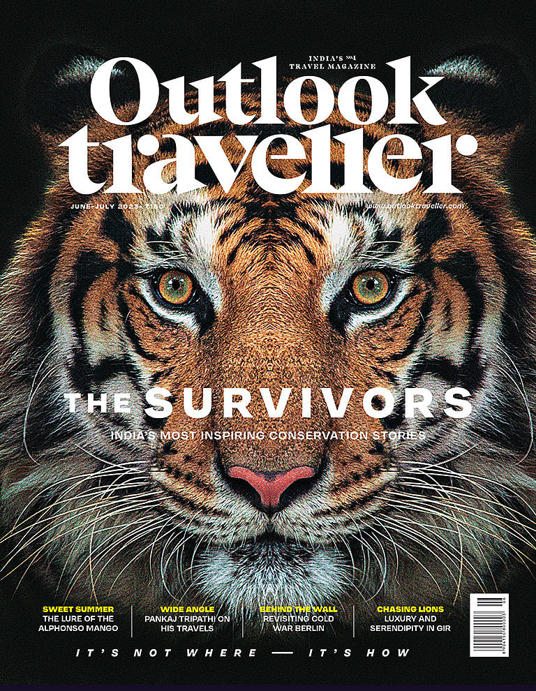 The Survivors India’s Most Inspiring Conservation Stories
