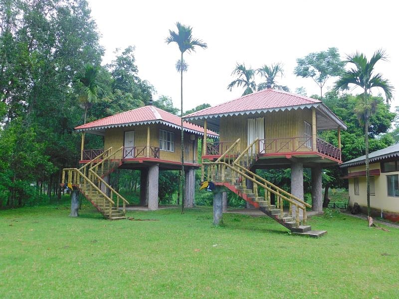 Lataguri Hornbill Eco-Tourism Centre has a forest bungalow maintained by the Gorumara Wildlife Division