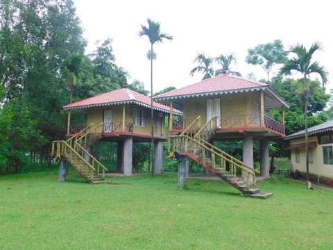 Lataguri Hornbill Eco-Tourism Centre has a forest bungalow maintained by the Gorumara Wildlife Division