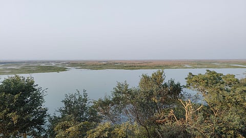 Haiderpur Wetland To Host Birdwatching Festival