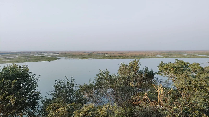 Haiderpur Wetland To Host Birdwatching Festival