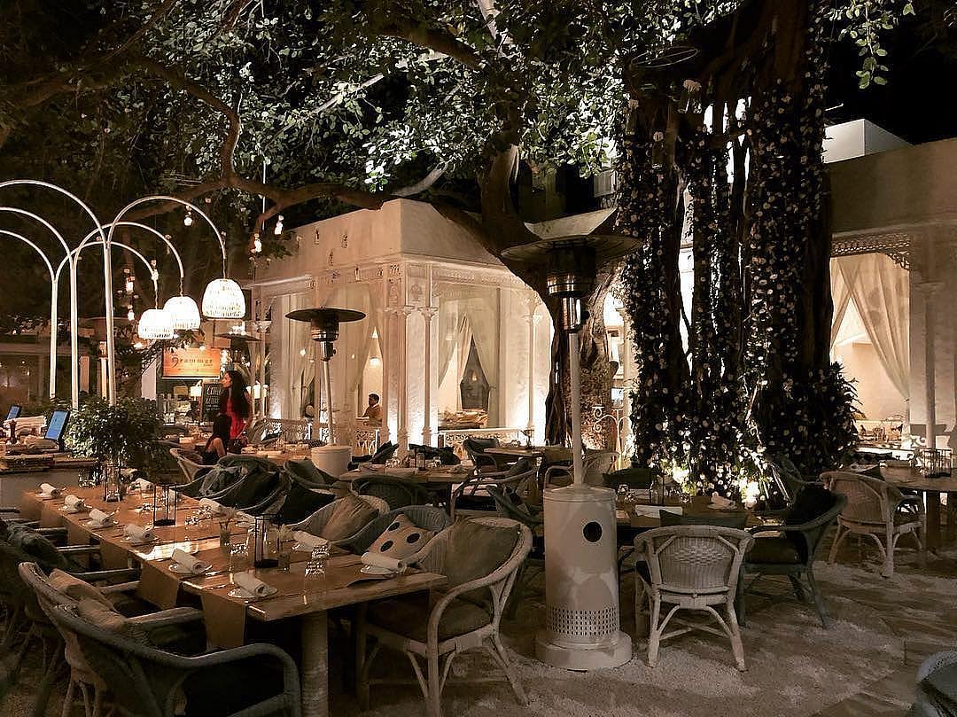 Olive Qutub - dfordelhi/instagram