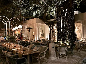 dfordelhi/instagram : Olive Qutub