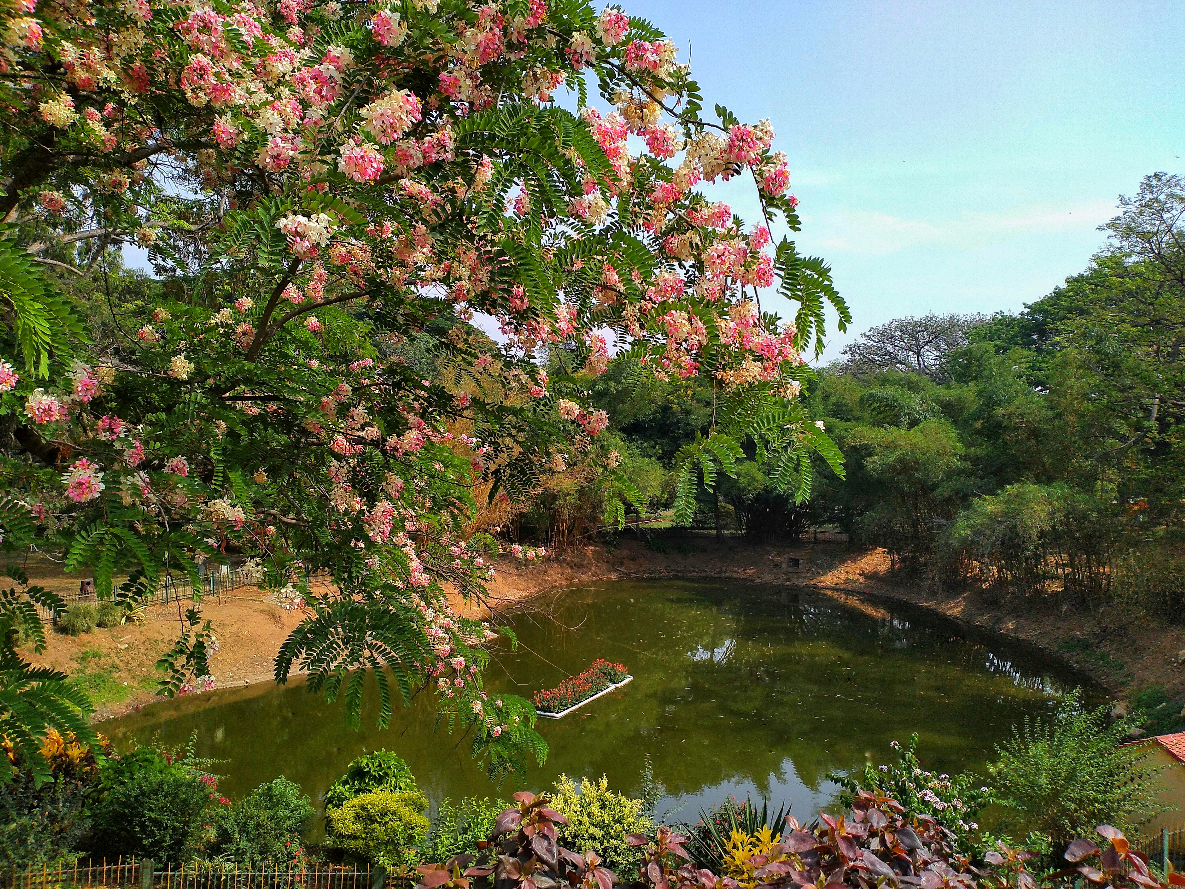 Lalbagh Botanical Garden