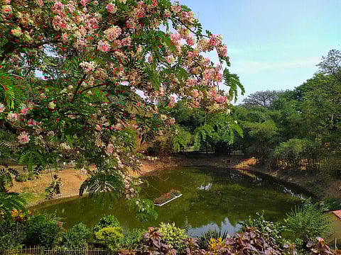 Lalbagh Botanical Garden