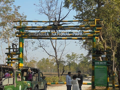 Gorumara National Park