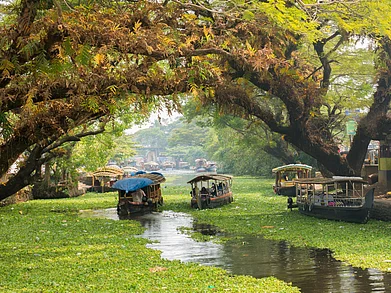 Shutterstock : Kerala backwaters