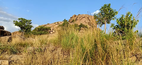 Yanaimalai Hill