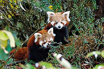 Photo: Varun Thakkar