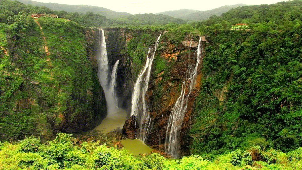 Jog Falls is Indias second highest plunge waterfall