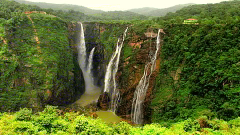 Jog Falls is India's second highest plunge waterfall