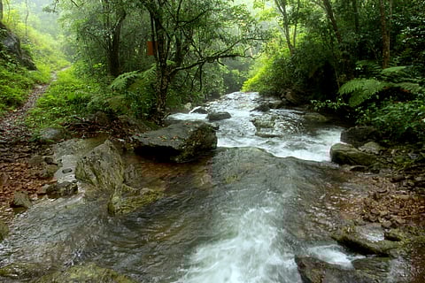 Brahmagiri River passing through Brahmagiri Wildlife Sanctuary