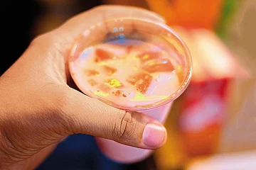 Photos: Shutterstock : Pyaar Mohabbat Sherbet