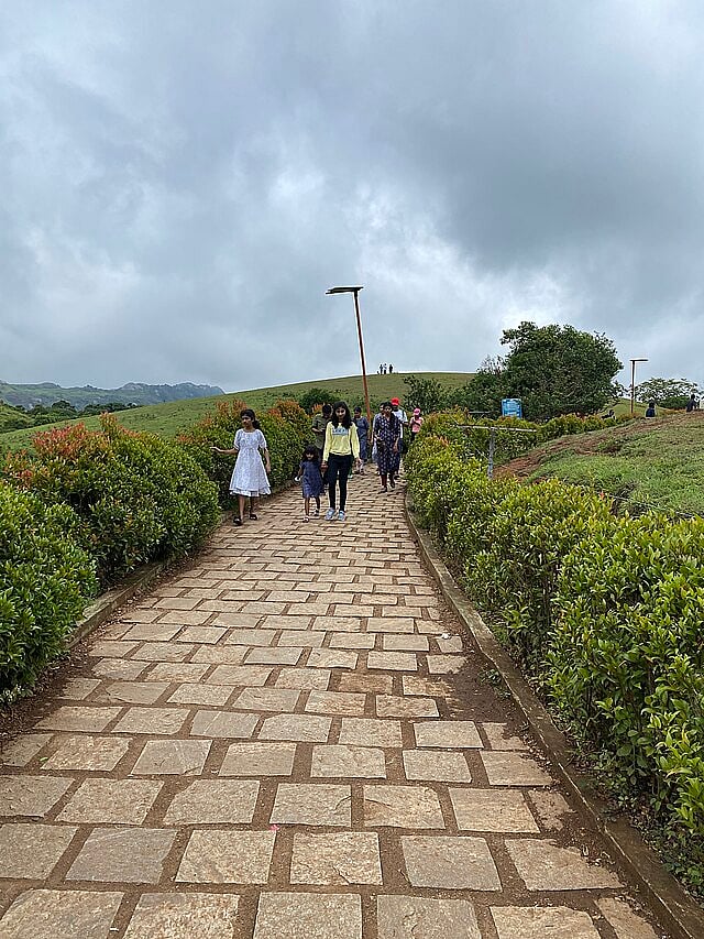 Walking among the rolling hills and meadows
