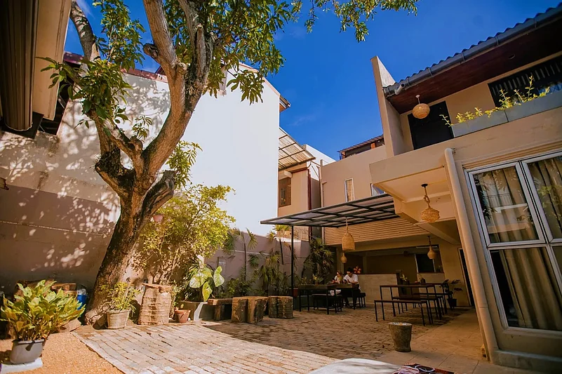 The garden at Drop Inn Hostel