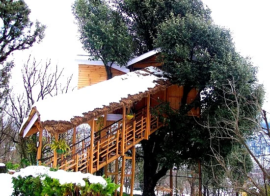 These family-run cottages are tucked within an orchard