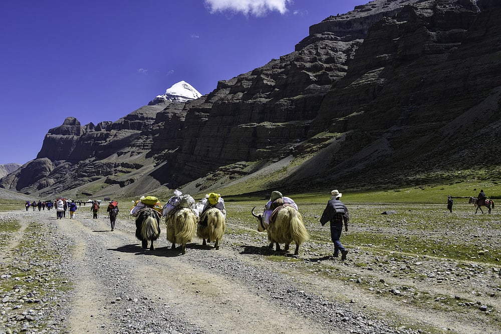 Taking a parikrama of Mt Kailash 