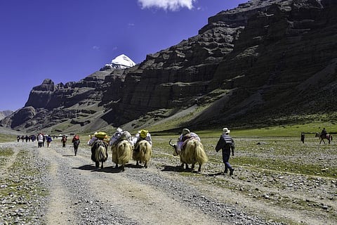 Taking a parikrama of Mt Kailash