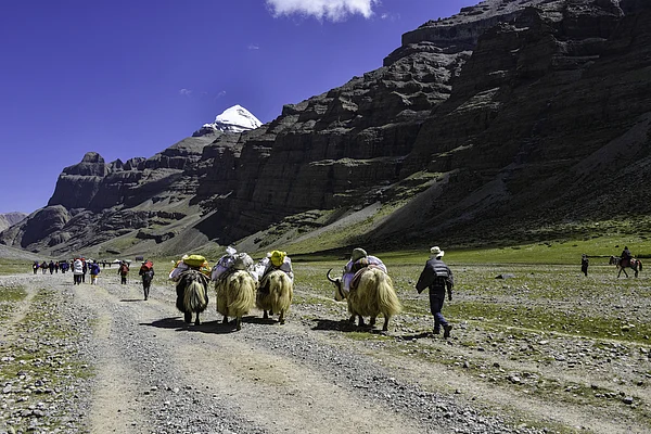 MBL1/Shutterstock : Taking a parikrama of Mt Kailash