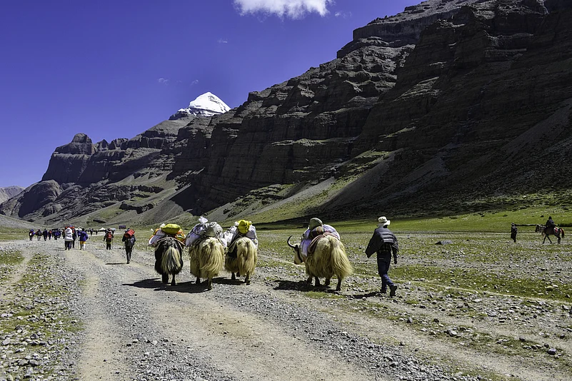 Taking a parikrama of Mt Kailash
