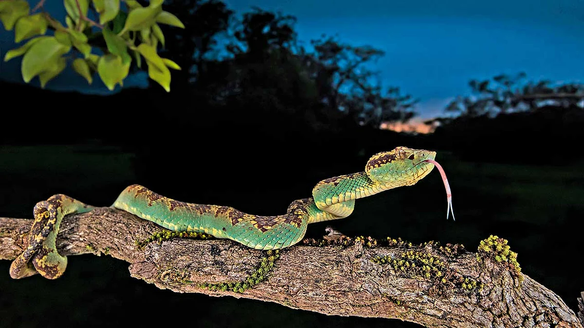Photo: Shutterstock