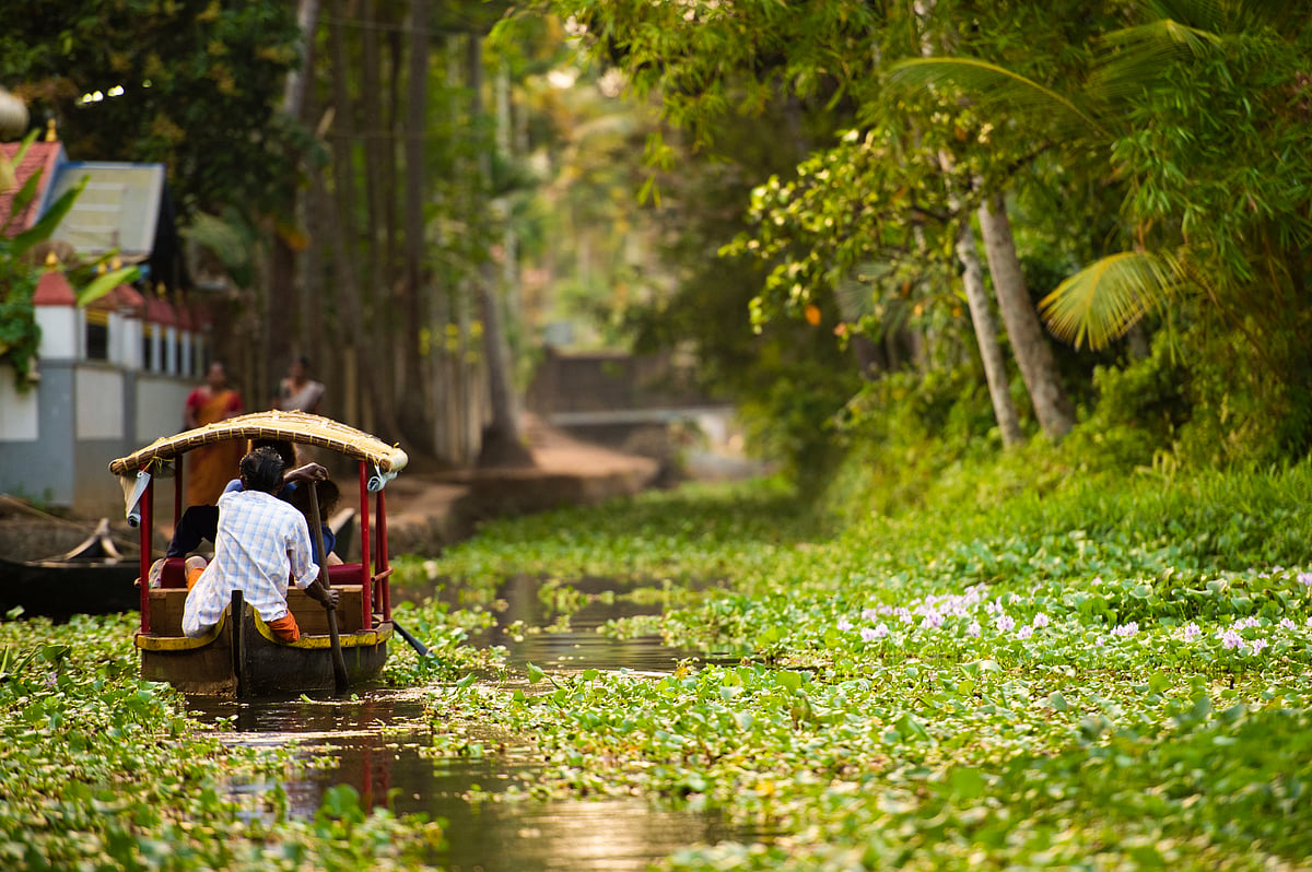 Kochi backwaters