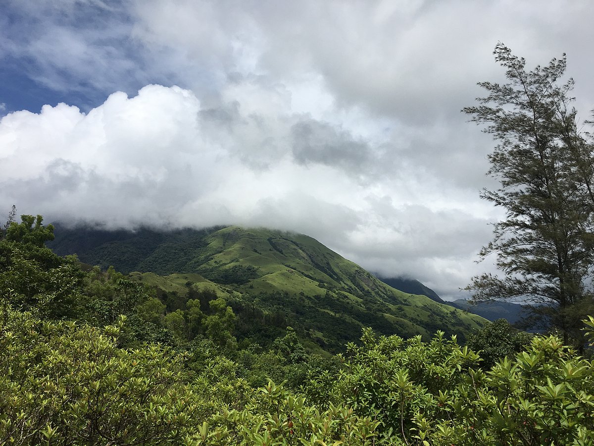 View from atop the Kumara Parvatha peak