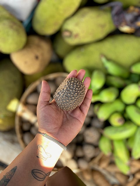 Cane Fruit