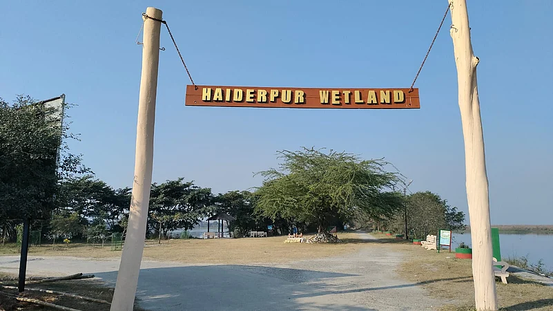 Haiderpur Wetland To Host Birdwatching Festival