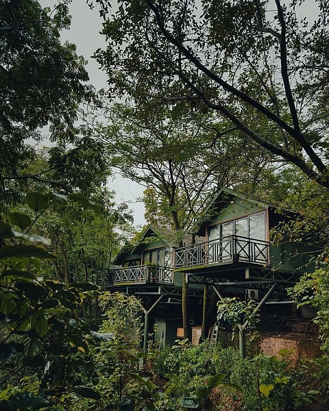 Anandvan, Bhandardara