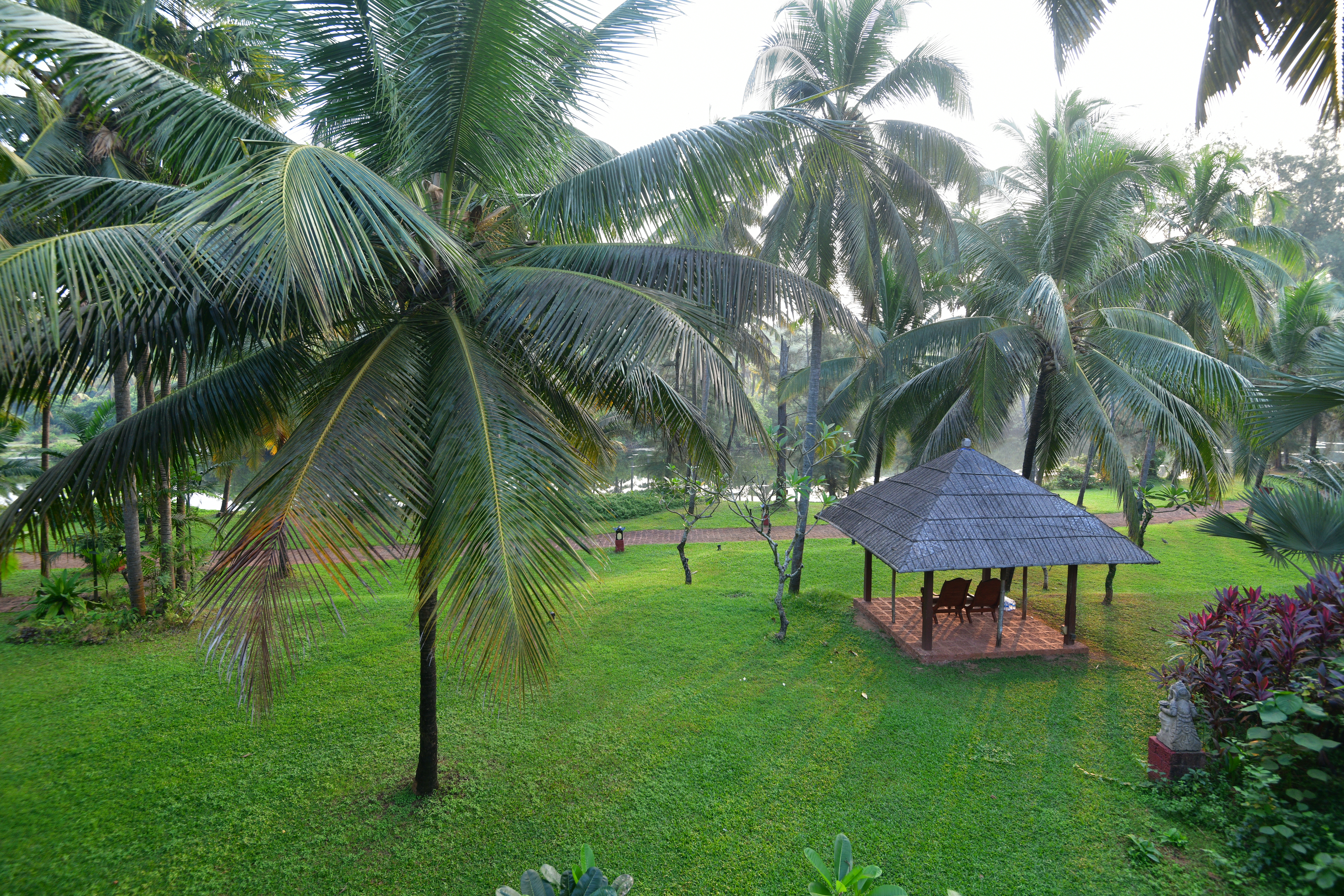 The last morning at Bekal