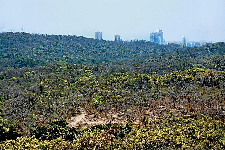 The Sanjay Gandhi National Park is situated in the heart of Mumbai - null