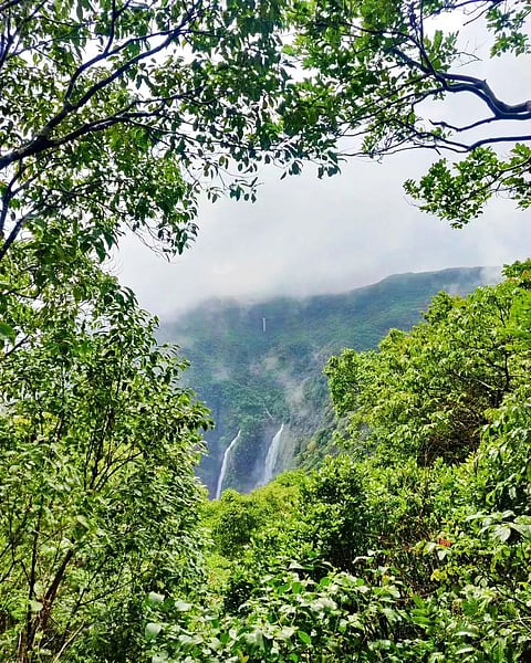 Wildernest is an award-winning establishment that provides everything you could ask of a nature retreat