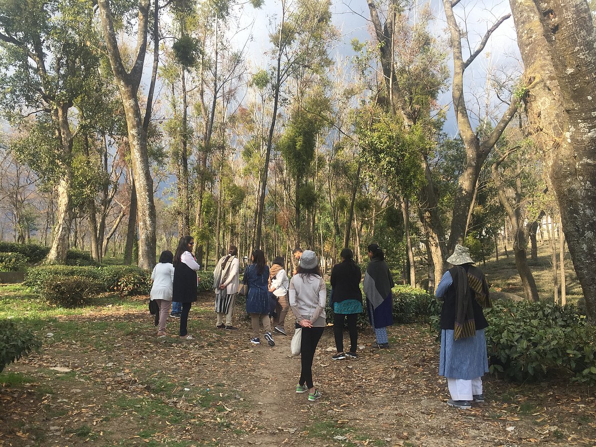 The Lodge at Wah is located in Palampur