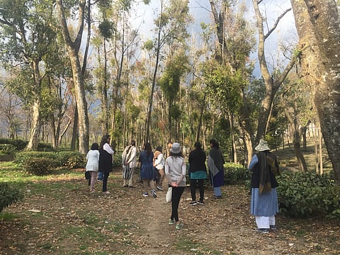 The Lodge at Wah is located in Palampur