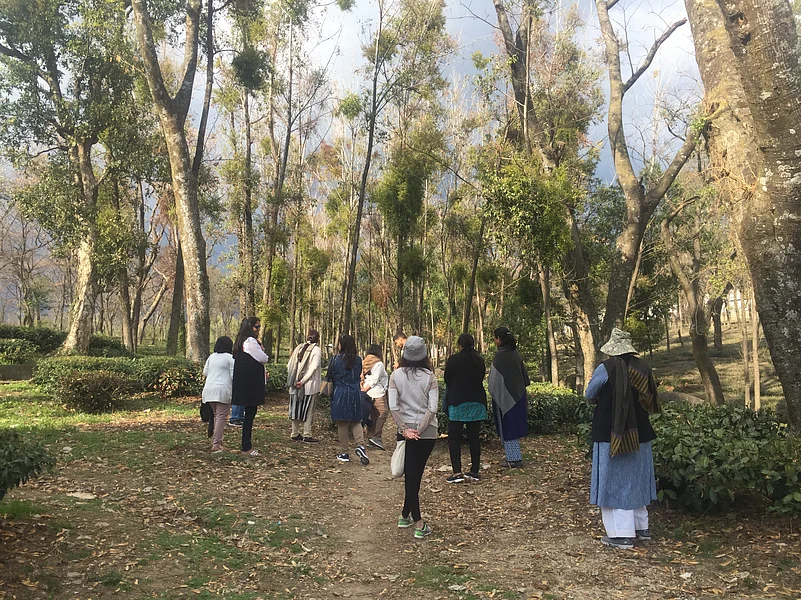 The Lodge at Wah is located in Palampur