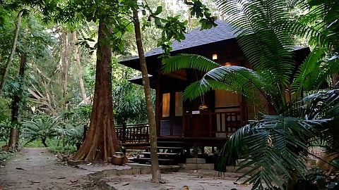 Barefoot at Havelock