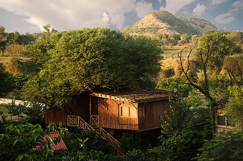 These tree houses provide all the essential amenities, including air-conditioned rooms