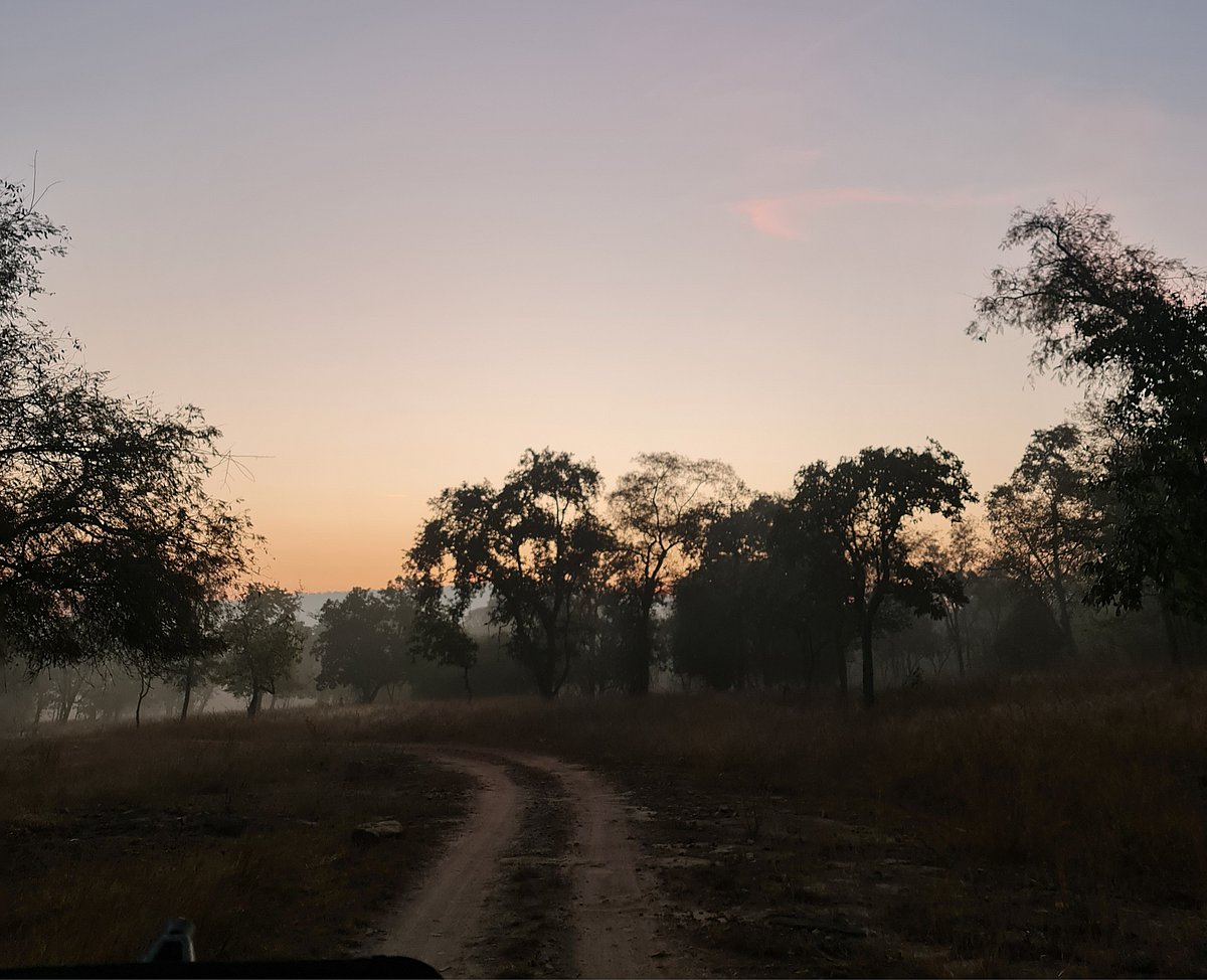 Sunrise in the tiger reserve is a dramatic affair